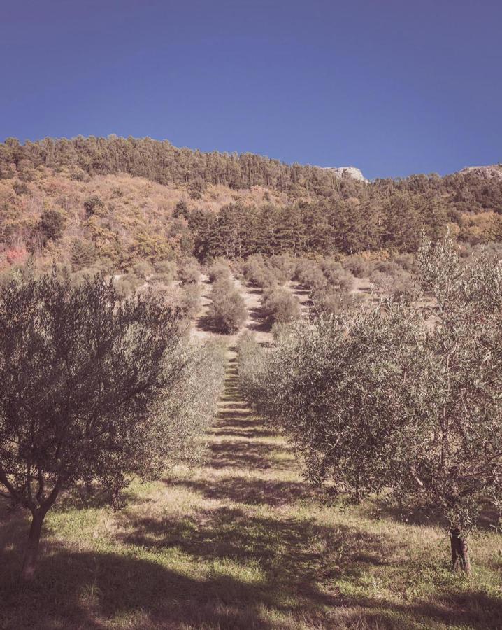 Agriturismo Querceto Mocaiana Buitenkant foto